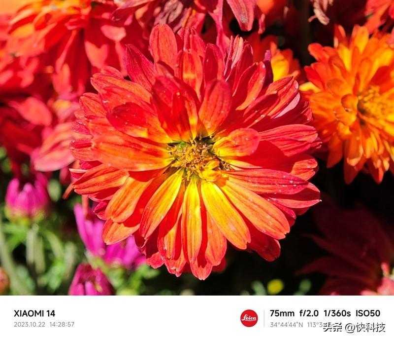 小米14 Pro评测：不仅有第三代骁龙8 更是全方面的跨越升级插图33