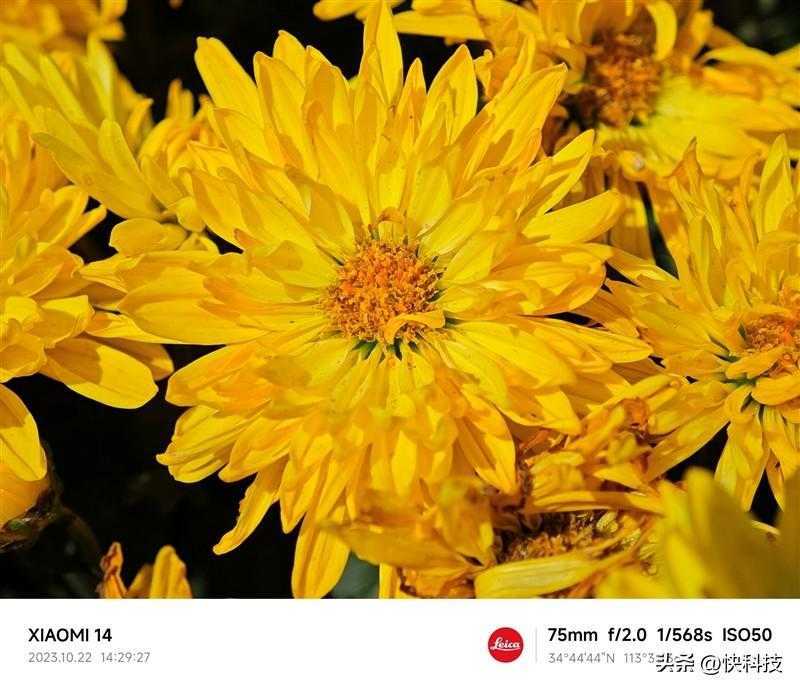 小米14 Pro评测：不仅有第三代骁龙8 更是全方面的跨越升级插图34