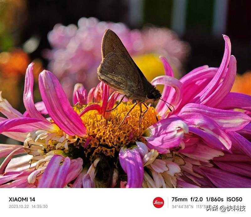 小米14 Pro评测：不仅有第三代骁龙8 更是全方面的跨越升级插图35