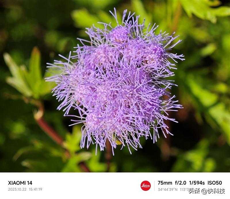 小米14 Pro评测：不仅有第三代骁龙8 更是全方面的跨越升级插图36