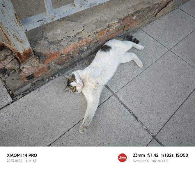 小米14系列首发评测:性能暴增功耗更低,还有三项拍照黑科技!插图21 小米14系列首发评测:性能暴增功耗更低,还有三项拍照黑科技!插图21