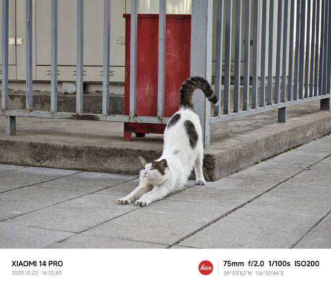 小米14系列首发评测:性能暴增功耗更低,还有三项拍照黑科技!插图29 小米14系列首发评测:性能暴增功耗更低,还有三项拍照黑科技!插图29