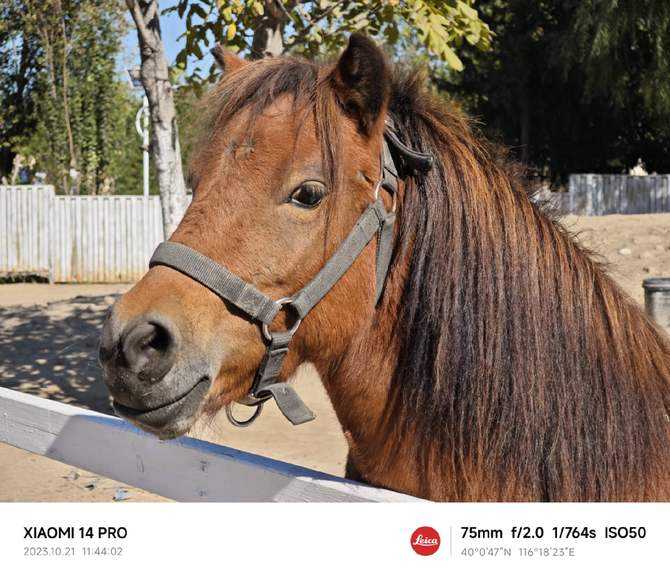 小米14系列首发评测:性能暴增功耗更低,还有三项拍照黑科技!插图30 小米14系列首发评测:性能暴增功耗更低,还有三项拍照黑科技!插图30