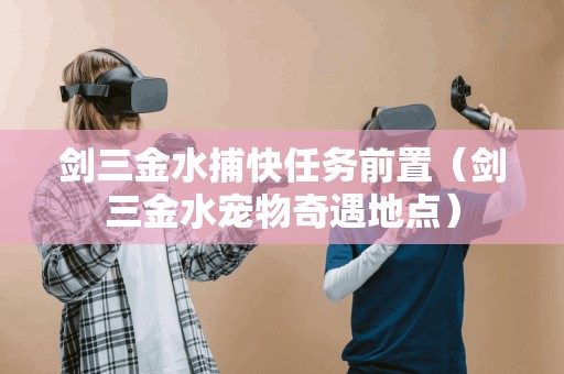 剑三金水捕快任务前置（剑三金水宠物奇遇地点）