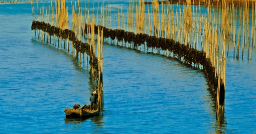 2023年福建什么时候入冬?福建冬天是几月份到几月份