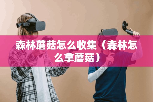 森林蘑菇怎么收集（森林怎么拿蘑菇）