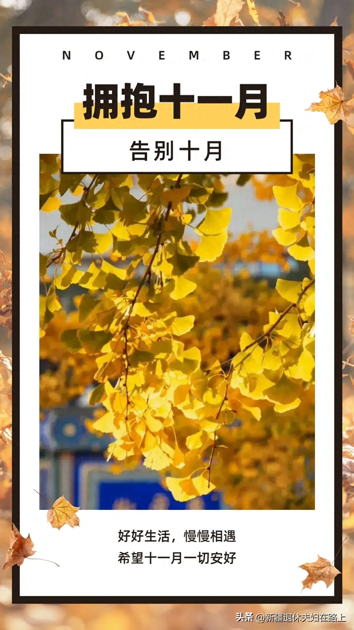 十月再见十一月你好朋友圈祝福文案，温暖又治愈插图