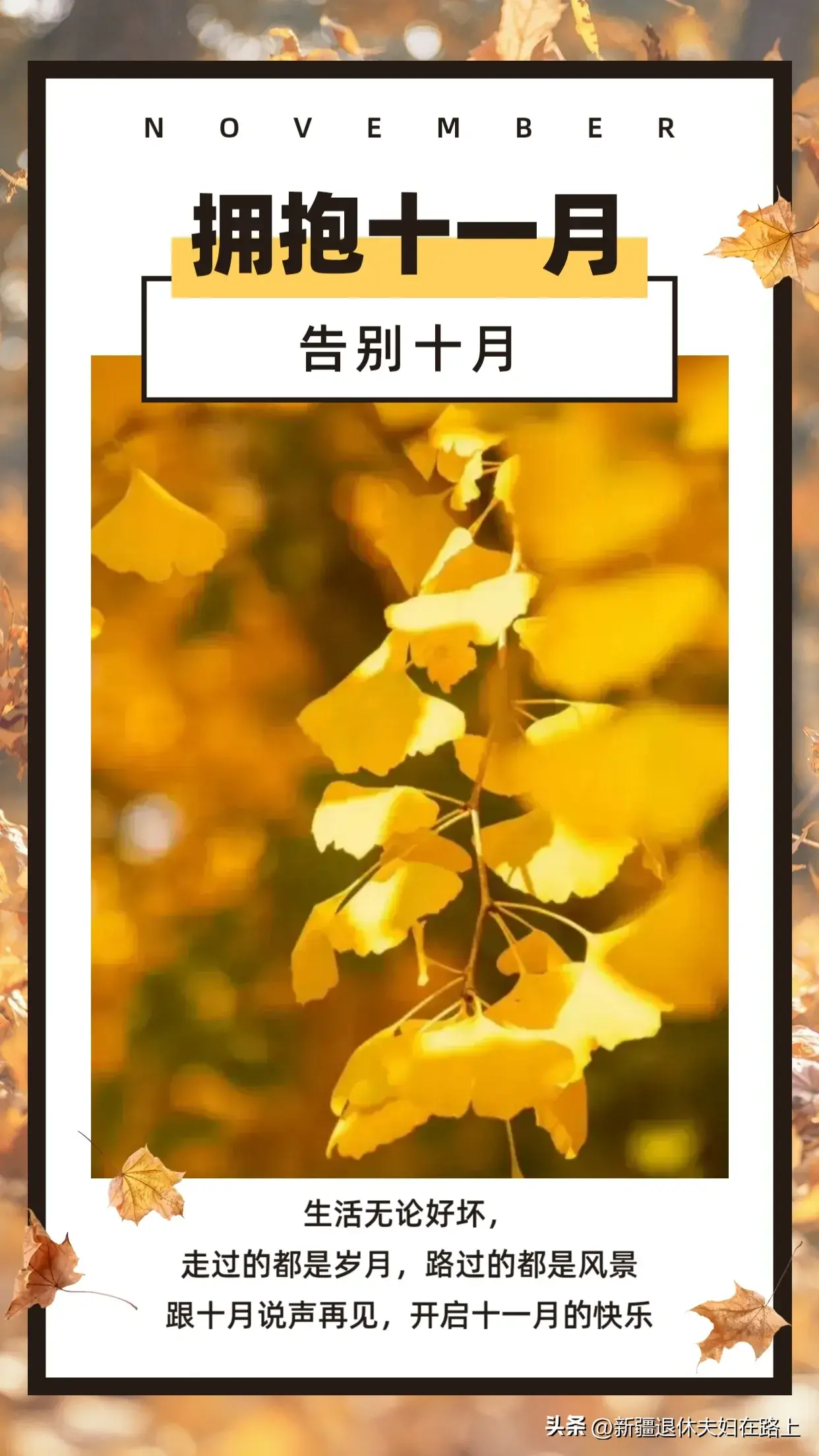 十月再见十一月你好朋友圈祝福文案，温暖又治愈插图1