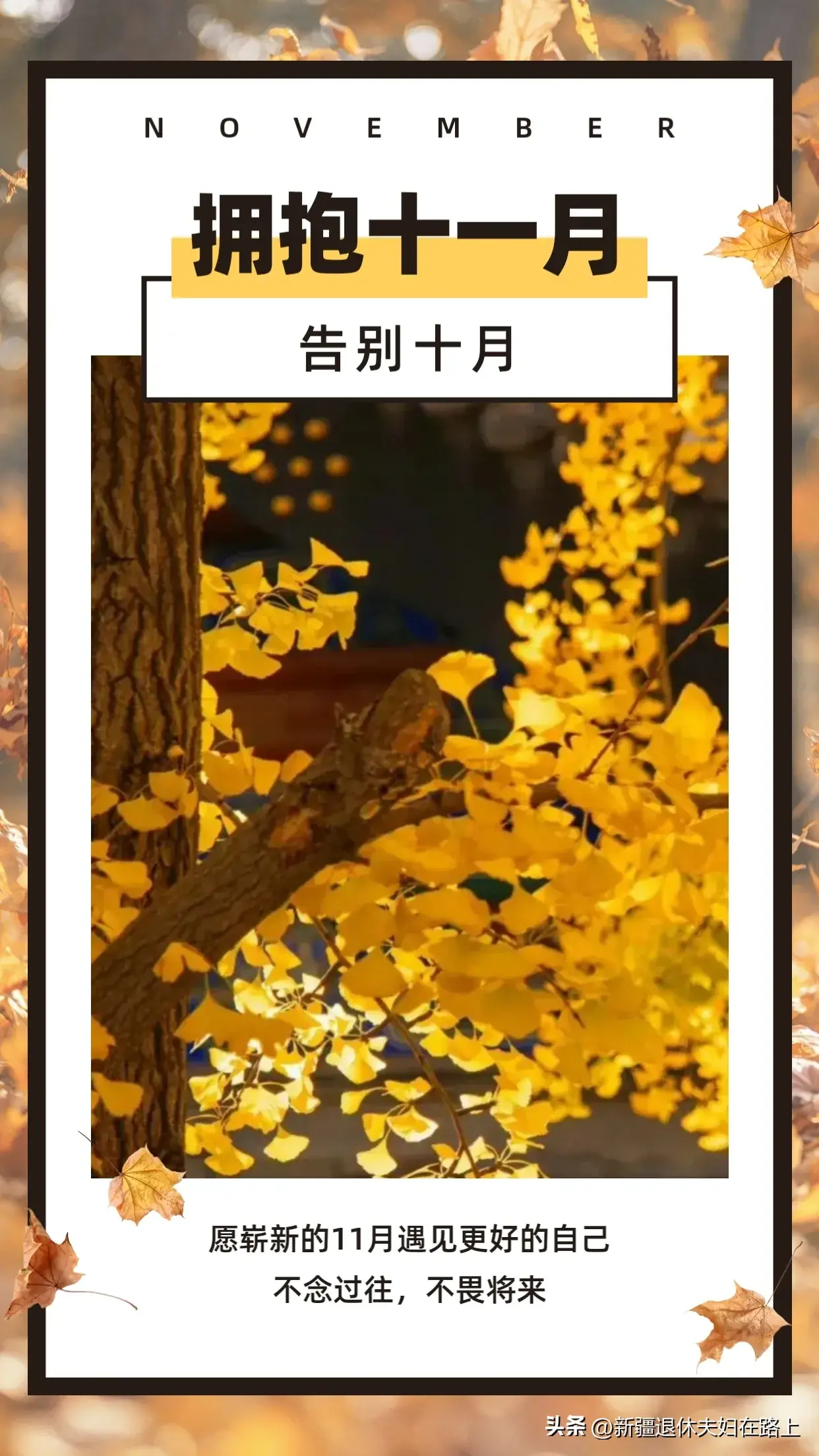 十月再见十一月你好朋友圈祝福文案，温暖又治愈插图2