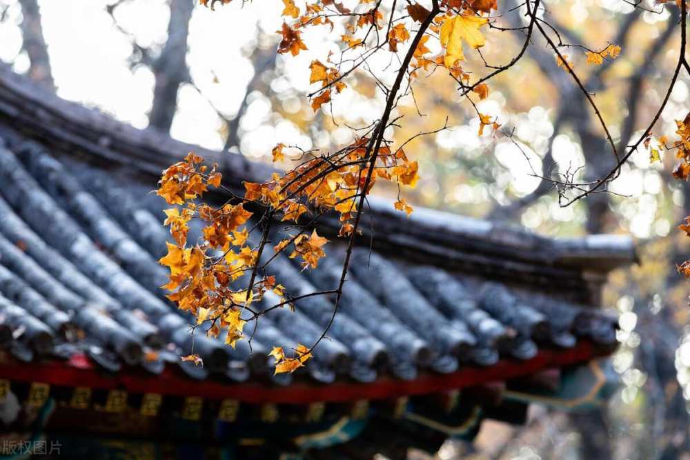 十月再见，十一月你好祝福文案插图2