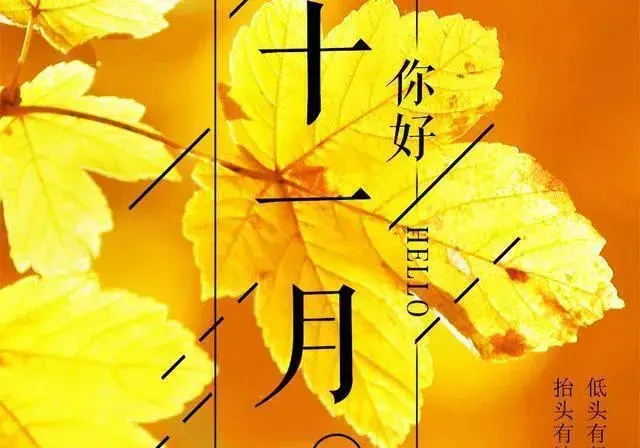 适合十一月的朋友圈文案，十月再见十一月你好插图4