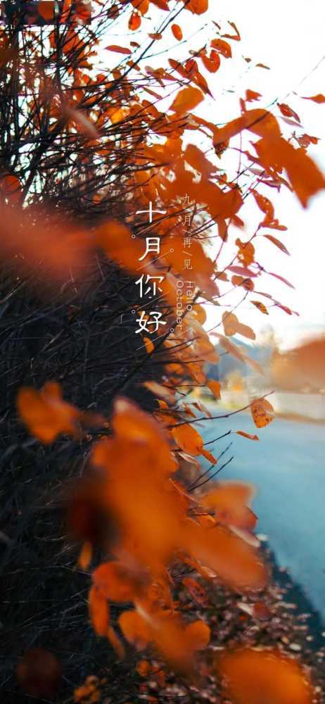 九月再见十月你好图片大全，9月再见，10月你好最新祝福语录插图5