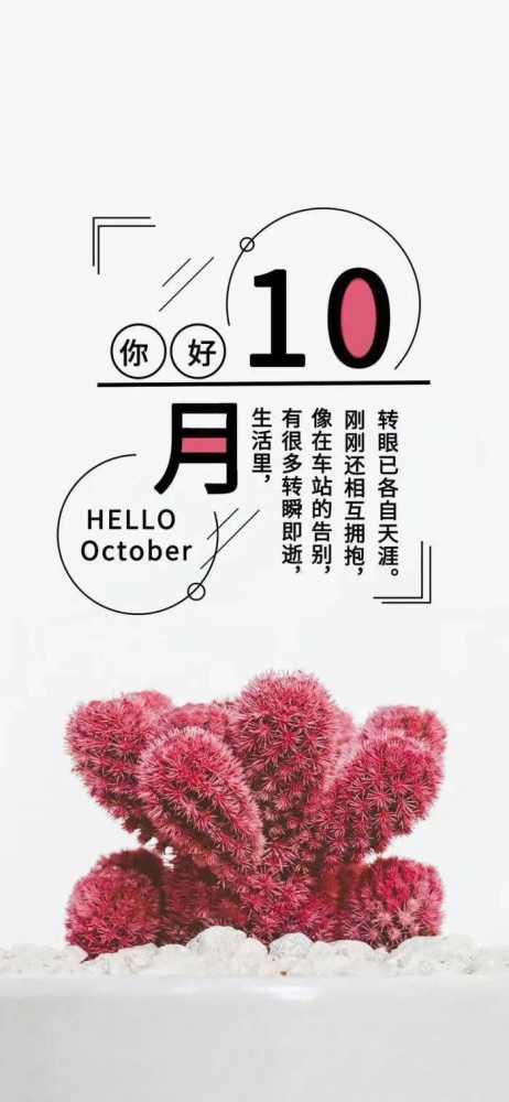 九月再见十月你好图片大全，9月再见，10月你好最新祝福语录插图8