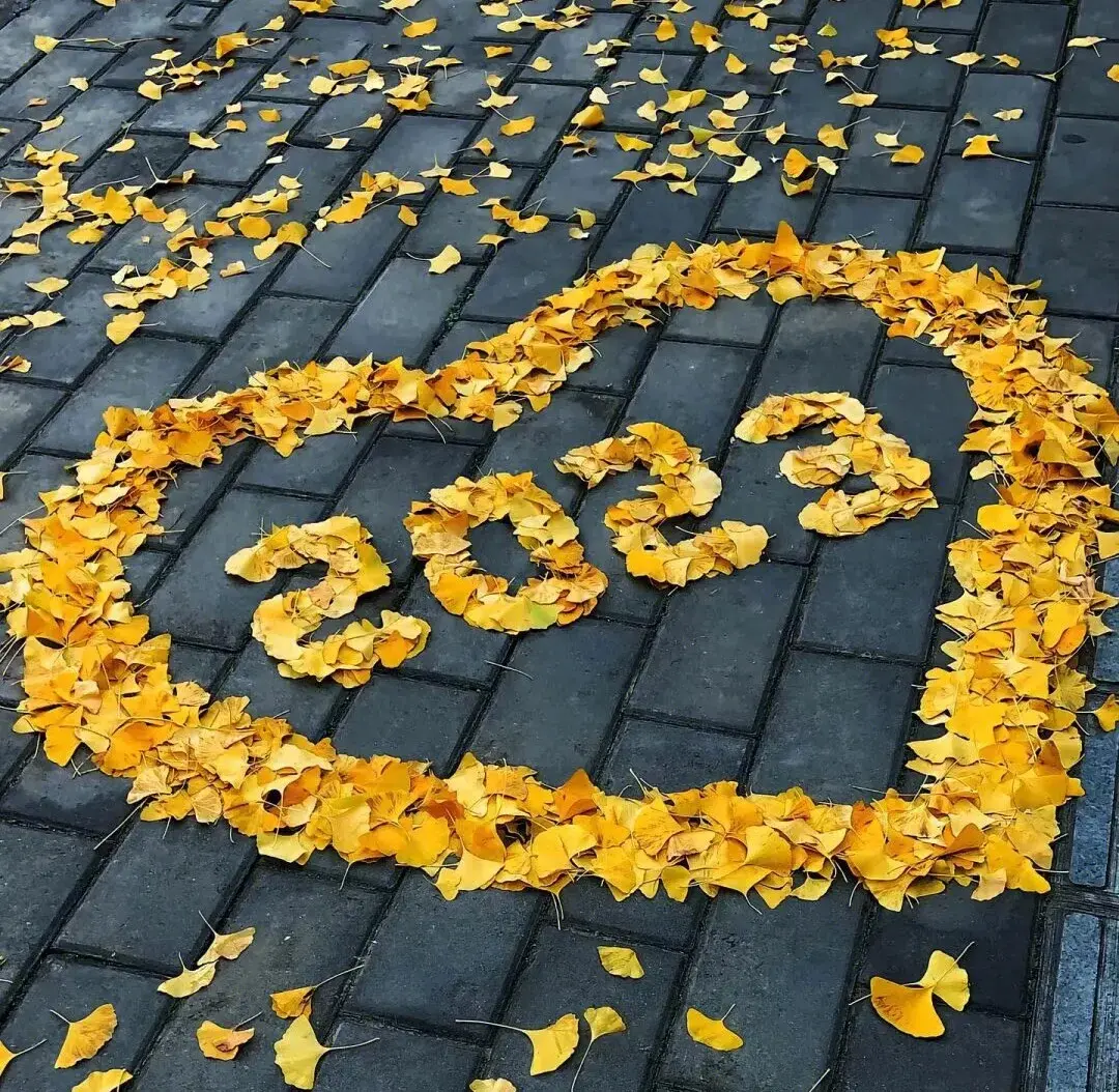 11月1日发朋友圈的文案等你来拿