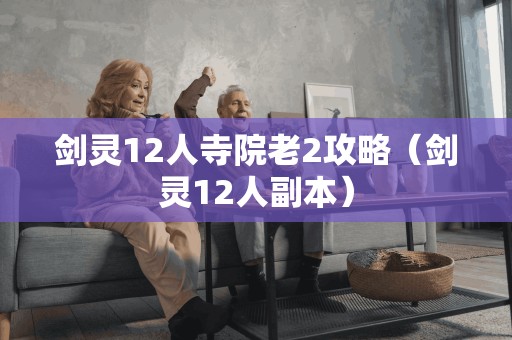 剑灵12人寺院老2攻略（剑灵12人副本）