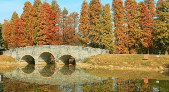 2023年十一月气温28度正常吗?十一月份天气正常是多少度