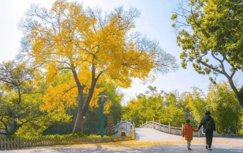 2023年11月温度为什么还这么高3