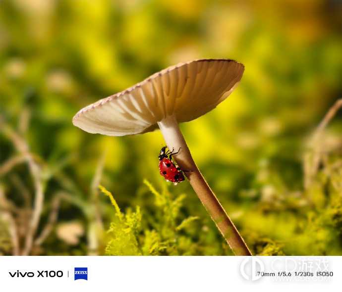 vivoX100拍照好看吗?vivoX100拍照怎么样插图1