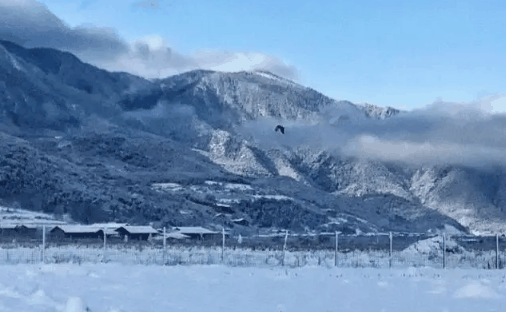 2024年湖南入冬几月开始下雪?湖南第一场雪什么时候下插图1 2024年湖南入冬几月开始下雪2