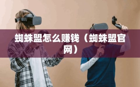 蜘蛛盟怎么赚钱（蜘蛛盟官网）