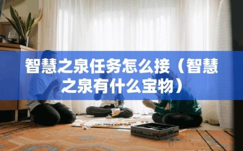 智慧之泉任务怎么接（智慧之泉有什么宝物）
