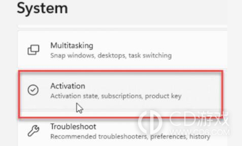 win11激活状态怎么查看?win11查看激活状态的方法插图3