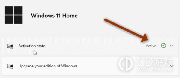 win11激活状态怎么查看?win11查看激活状态的方法插图4