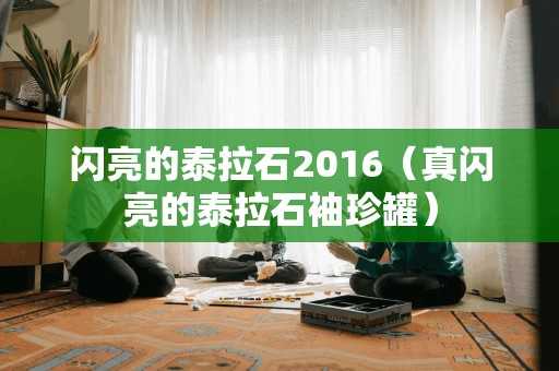 闪亮的泰拉石2016(真闪亮的泰拉石袖珍罐) 闪亮的泰拉石2016(真闪亮的泰拉石袖珍罐)