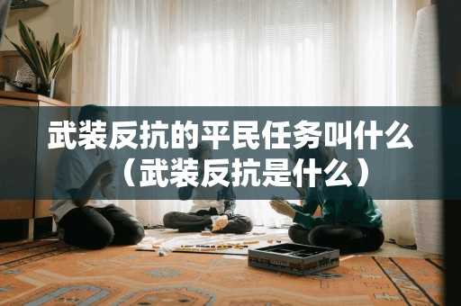 武装反抗的平民任务叫什么（武装反抗是什么）