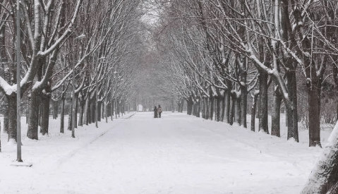 2023年武汉12月下雪吗?武汉一般几月份开始下雪插图1 2023年武汉12月下雪吗2