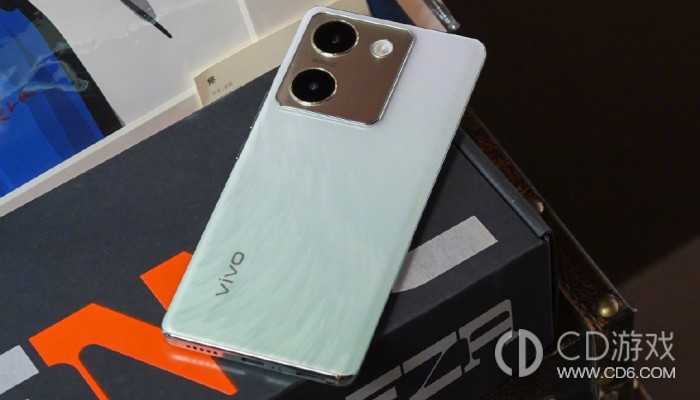 vivoY100进入开发者模式的方法?vivoY100怎么进入开发者模式插图 vivoY100进入开发者模式的方法?vivoY100怎么进入开发者模式插图