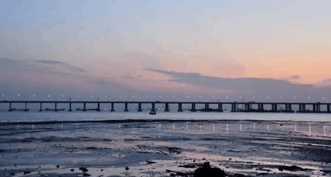 深圳今冬冷吗2024?深圳的冬天是什么样