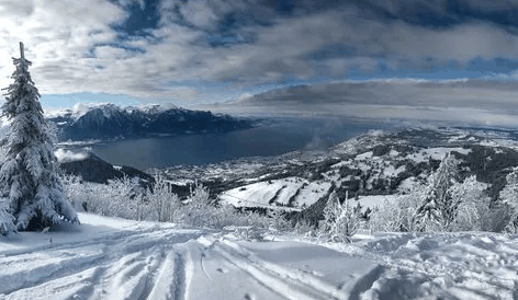 2024年深圳冬天用穿羽绒服吗?什么衣服适合在深圳冬天穿