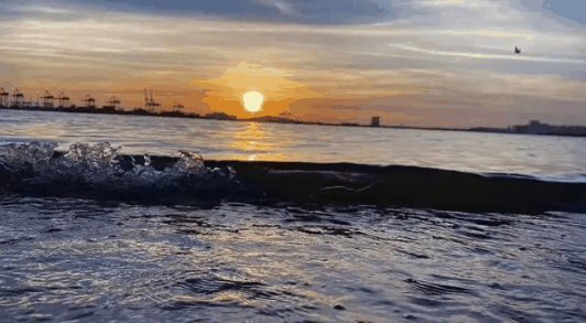 2023年深圳一般几月份到真正的冬天?深圳冬天几月到几月插图 2023年深圳一般几月份到真正的冬天1