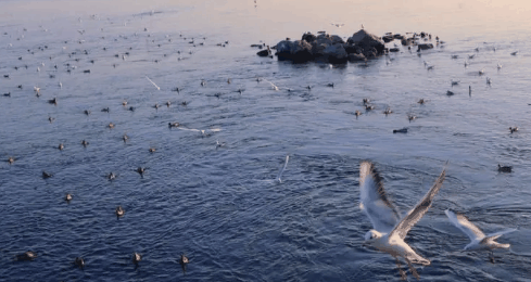 2023年深圳一般几月份到真正的冬天?深圳冬天几月到几月插图1 2023年深圳一般几月份到真正的冬天2