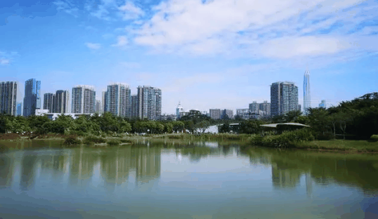 2023年深圳一般几月份到真正的冬天?深圳冬天几月到几月插图2 2023年深圳一般几月份到真正的冬天3