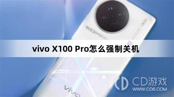 vivo X100 Pro强制关机方法?vivo X100 Pro怎么强制关机插图
