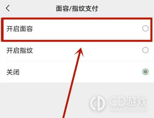 iQOO12面容支付设置方法?iQOO12怎么设置面容支付插图4