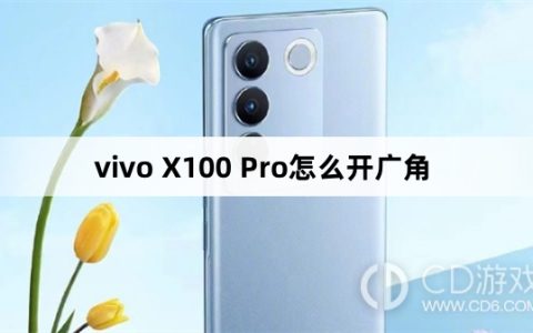 vivo X100 Pro开广角方法?vivo X100 Pro怎么开广角