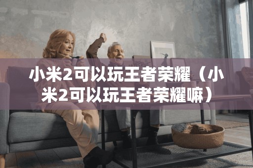 小米2可以玩王者荣耀（小米2可以玩王者荣耀嘛）