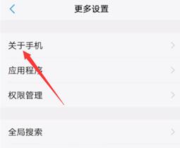 vivo X100 Pro打开开发者选项方法?vivo X100 Pro怎么打开开发者选项插图3