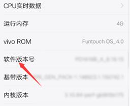 vivo X100 Pro打开开发者选项方法?vivo X100 Pro怎么打开开发者选项插图4