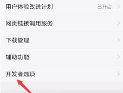 vivo X100 Pro打开开发者选项方法?vivo X100 Pro怎么打开开发者选项插图5
