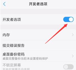 vivo X100 Pro打开开发者选项方法?vivo X100 Pro怎么打开开发者选项插图6