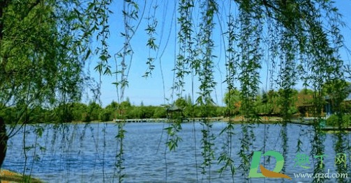 2021年4月5号是清明节吗3