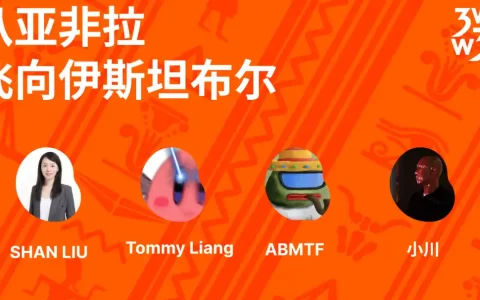 土耳其的Web3用例及加密市场的基本概况