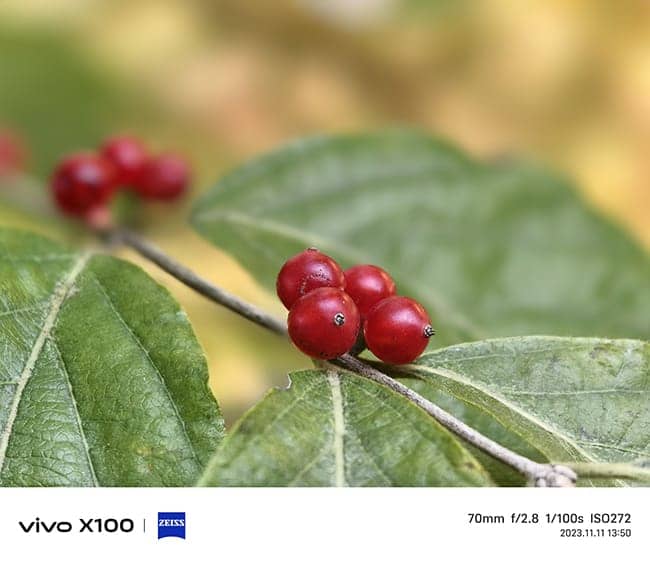 vivo X100怎么样 vivo X100详细评测插图29