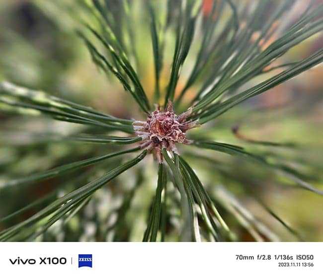 vivo X100怎么样 vivo X100详细评测插图30