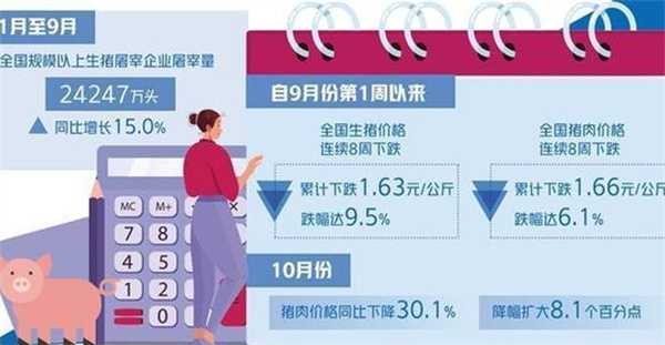 生猪价格为何再度下跌