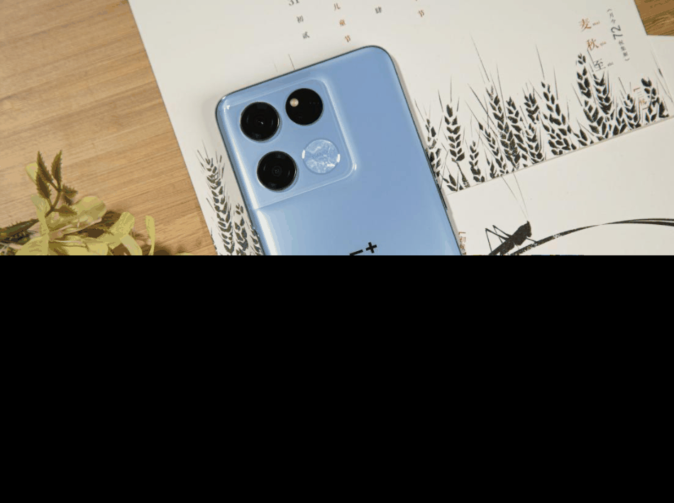 2023一加手机怎么选择?哪款值得入手插图9